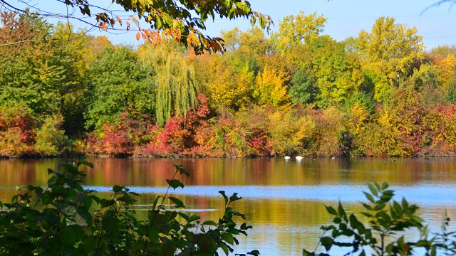 Lahde-Bunter Herbst am Teich