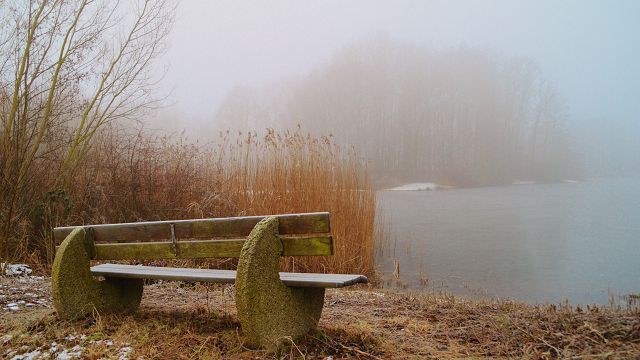 Lahde-Nebel am Teich